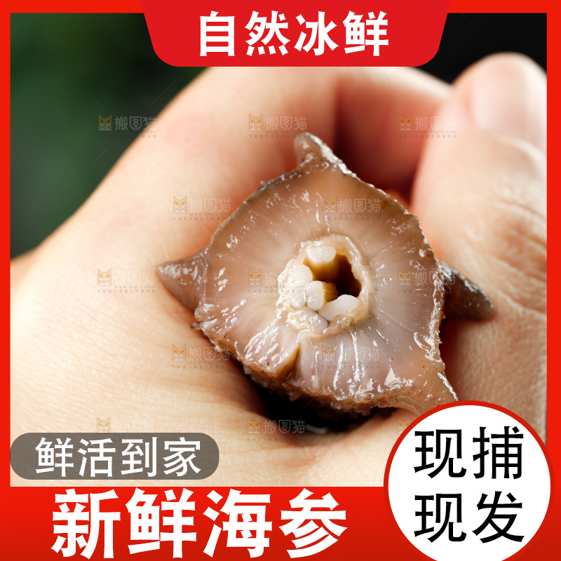 手拿海参