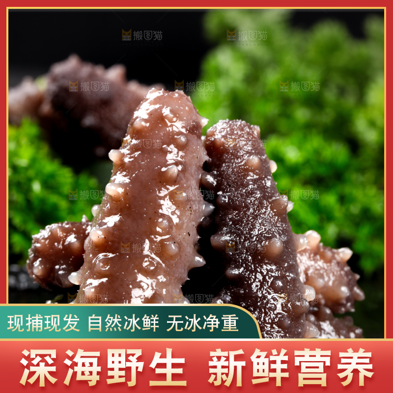黑石板上的淡干海参
