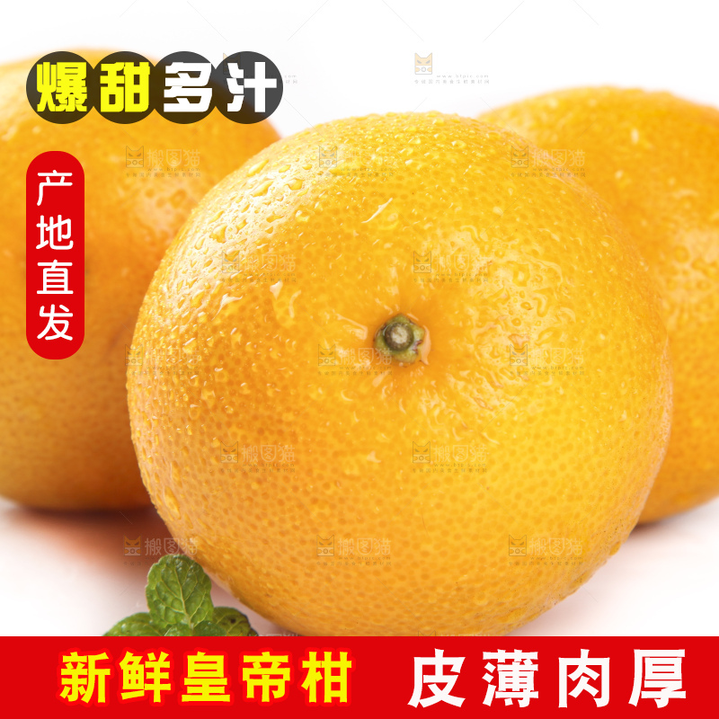 白底上的广西皇帝柑