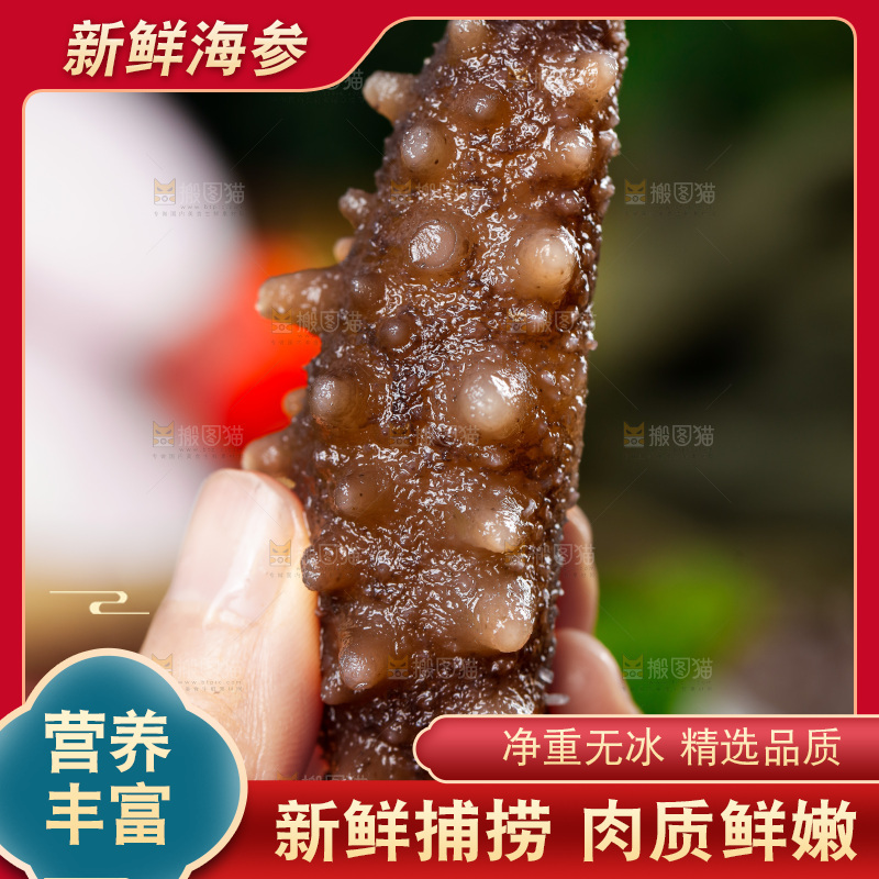 手拿海参