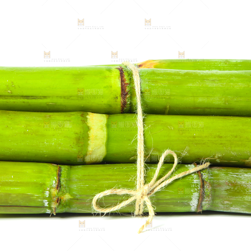 一捆青皮甘蔗放在白底