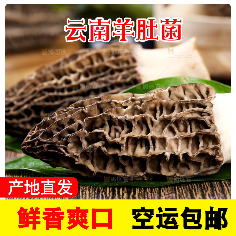 深底上摆放着羊肚菌
