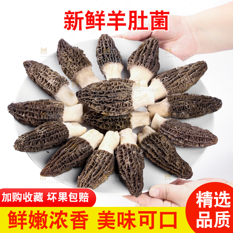 盘子装着羊肚菇