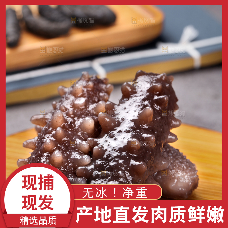 木底上的淡干海参