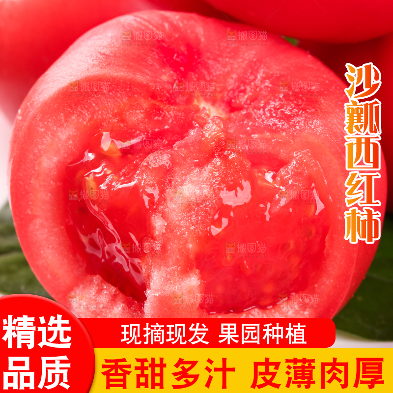 盘子里装着西红柿