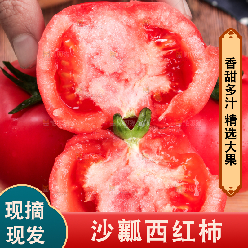 手里拿着沙瓤西红柿