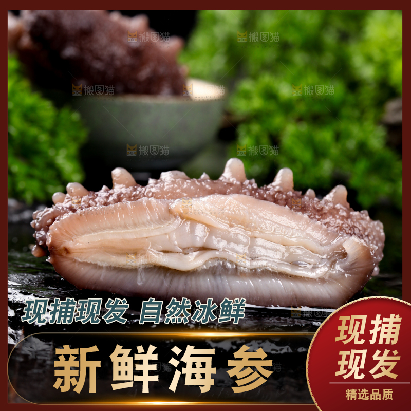 黑石板上的淡干海参
