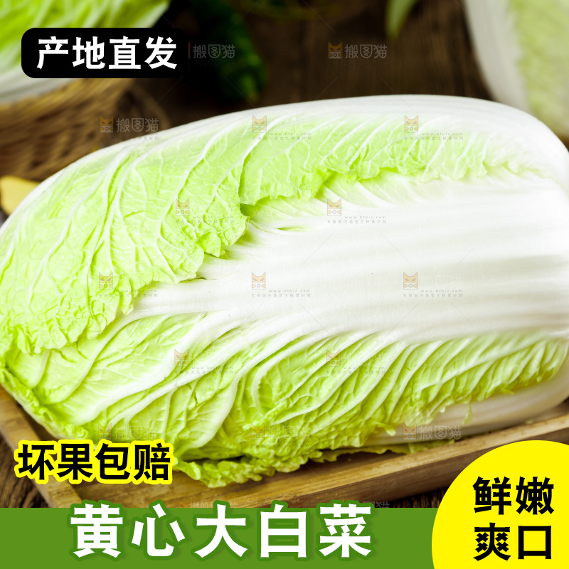 木底上的新鲜大白菜