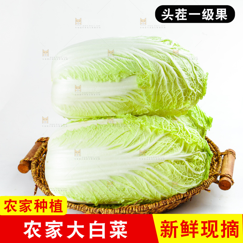 一篮大白菜放在白底上