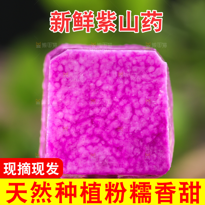 叉子叉着紫人参