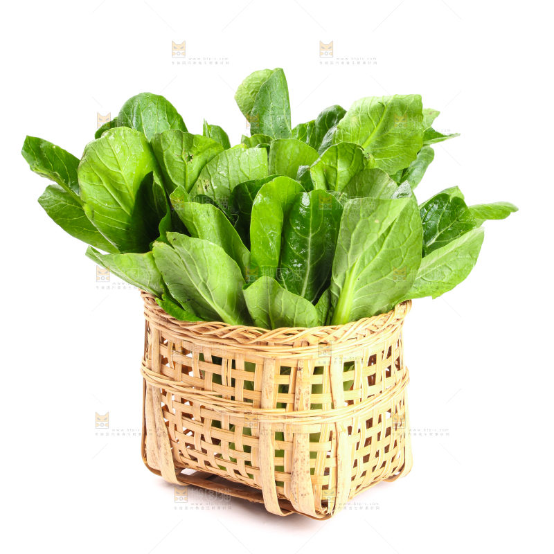 篮子里装着菜苔