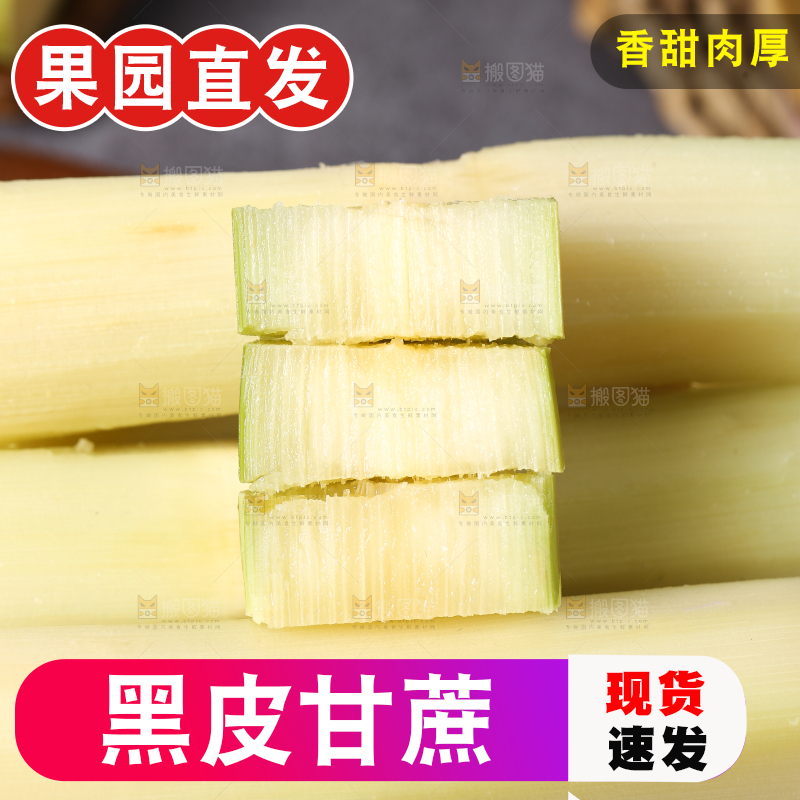 木底上放着切开的陶山甘蔗