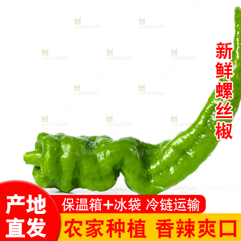 白底上的螺丝椒