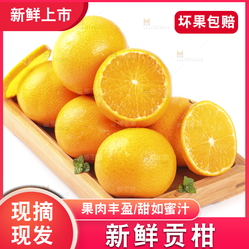 一盘皇帝柑放在白底上