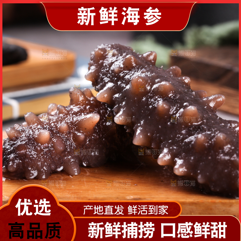 木底上的淡干海参