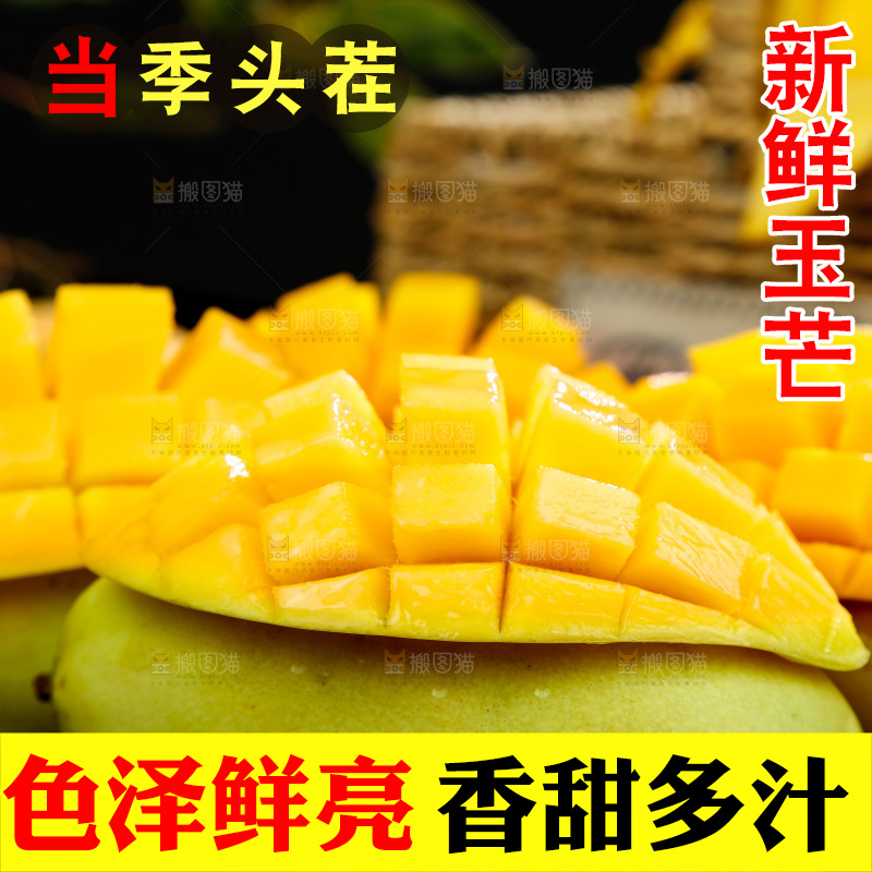 深底上摆放着玉芒