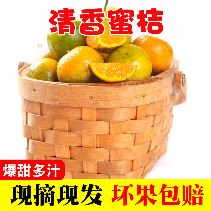 一筐清香蜜橘放在白底上