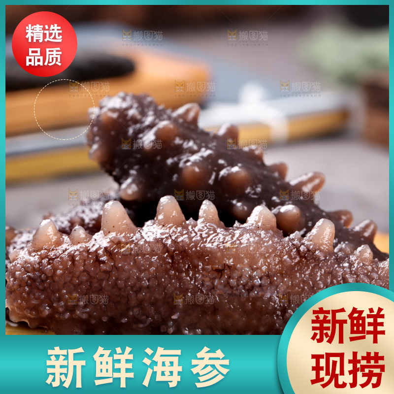 木底上的淡干海参