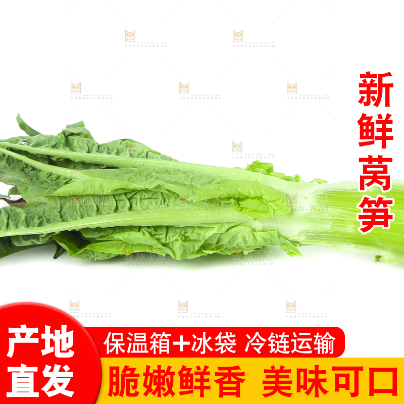 白底上摆放着莴笋