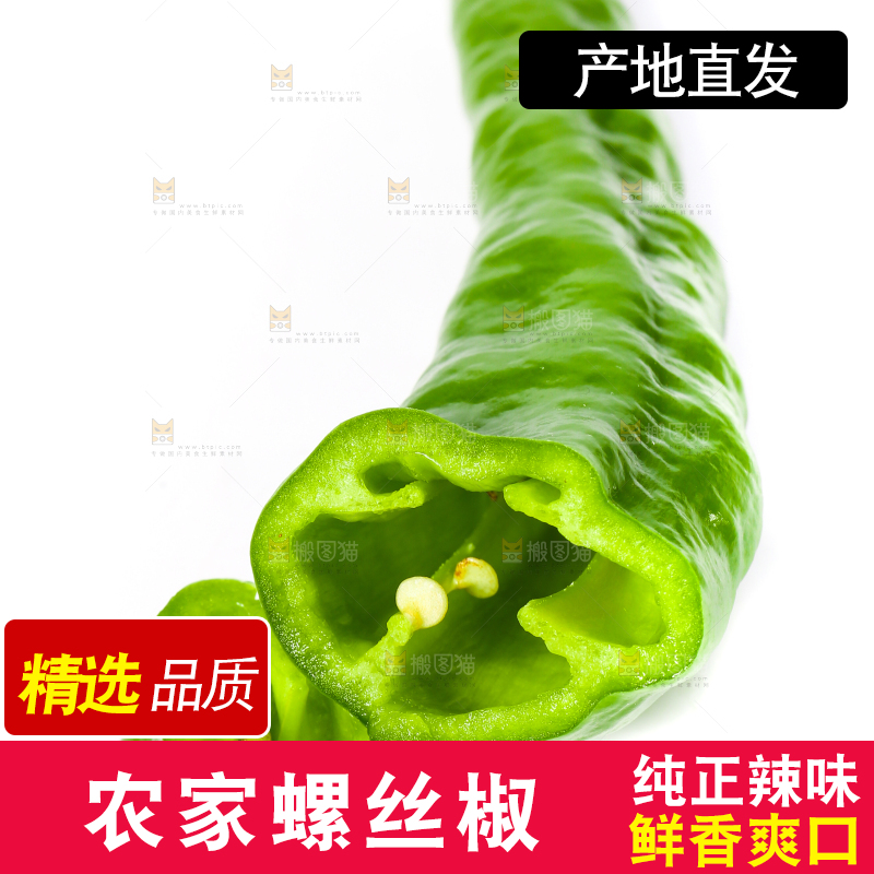 切开的螺丝椒放在白底上