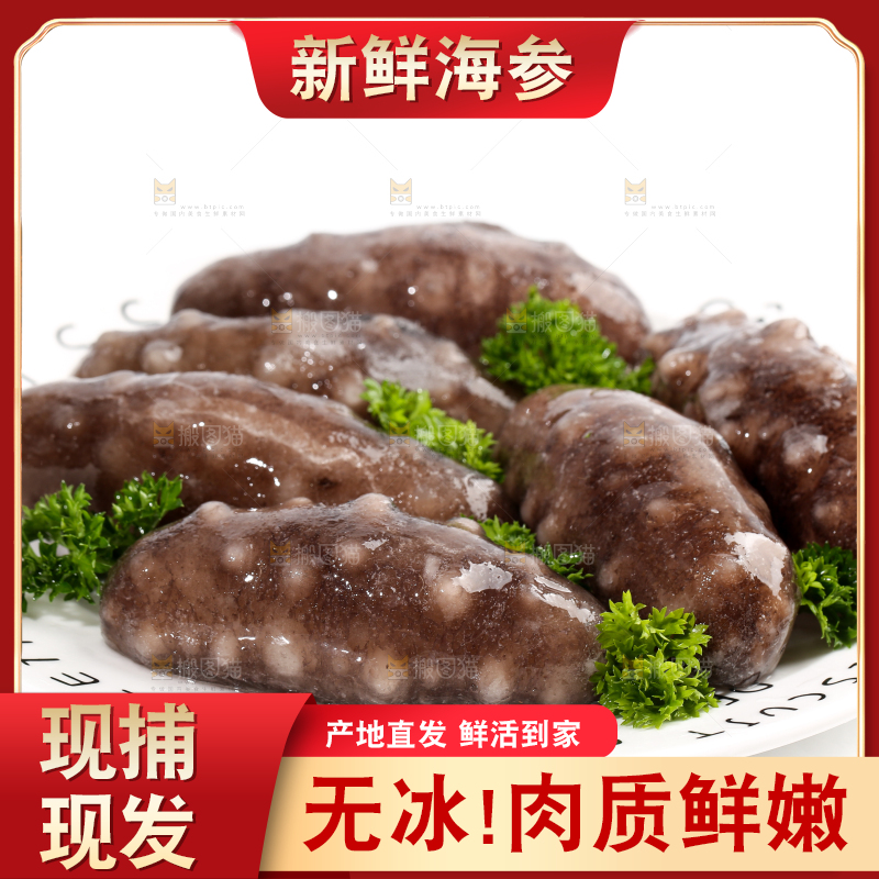 一盘刺参放在白底上