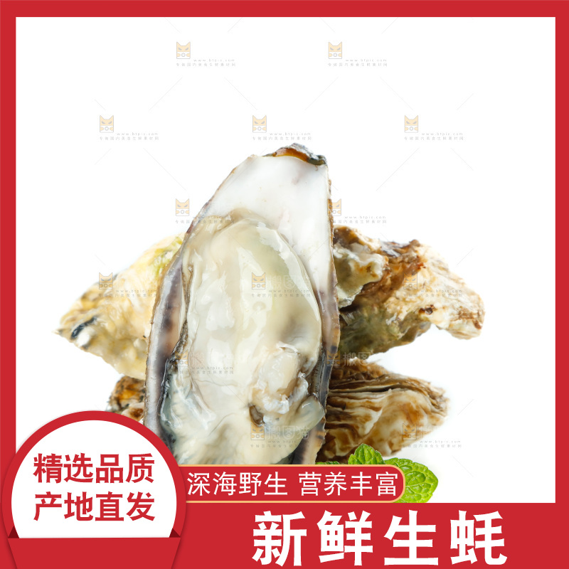 剥开的生蚝放在白底上