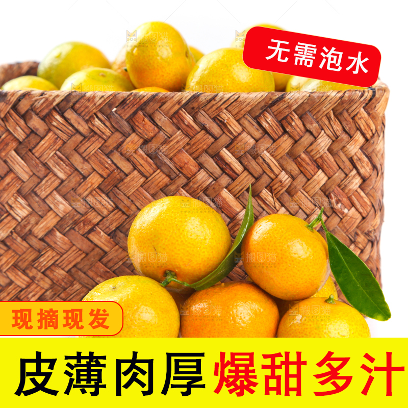 一筐清香蜜橘放在白底上