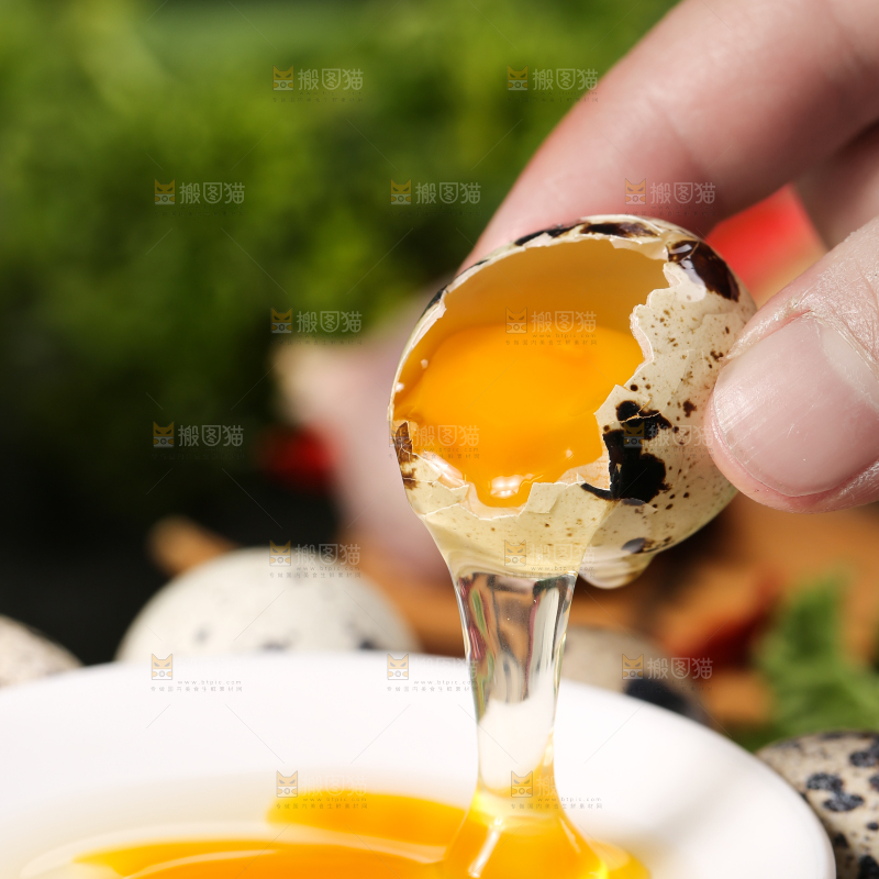 手拿鹌鹑蛋