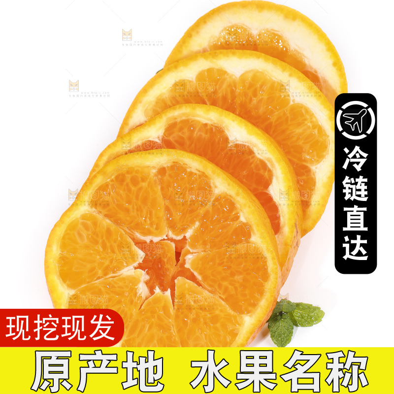 切开的四川耙耙柑放在白底上
