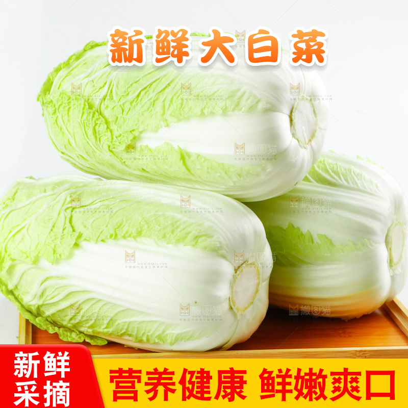 一盘大白菜放在白底上