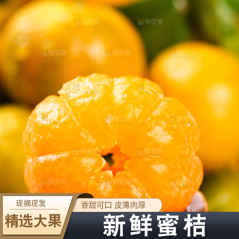 勺子里的桂林清香蜜桔果肉
