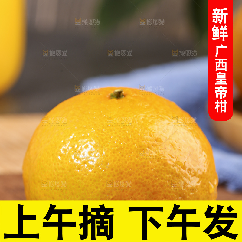 木底上的皇帝柑