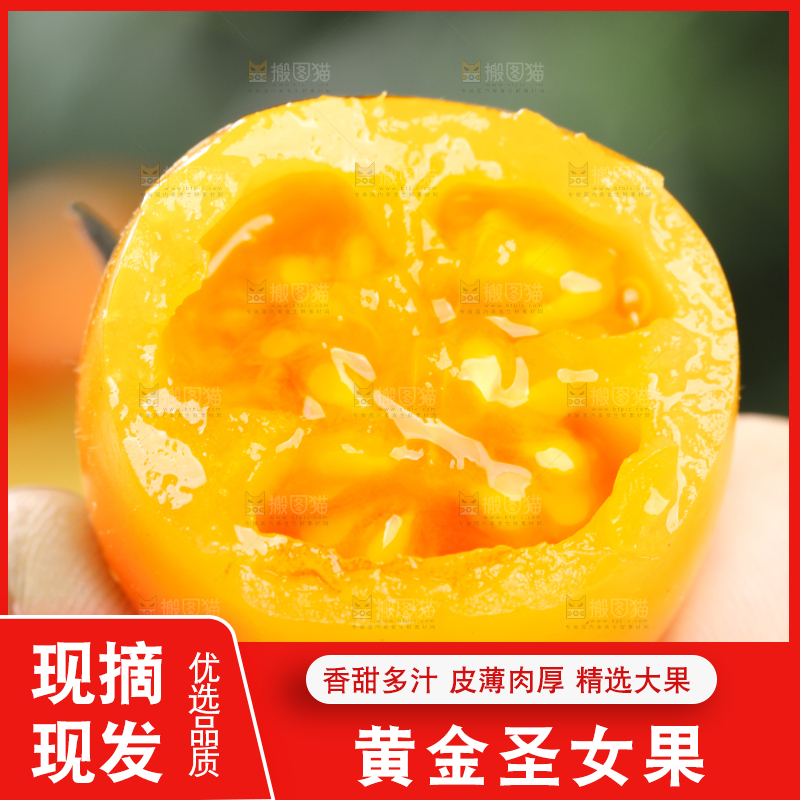 手里拿着小番茄