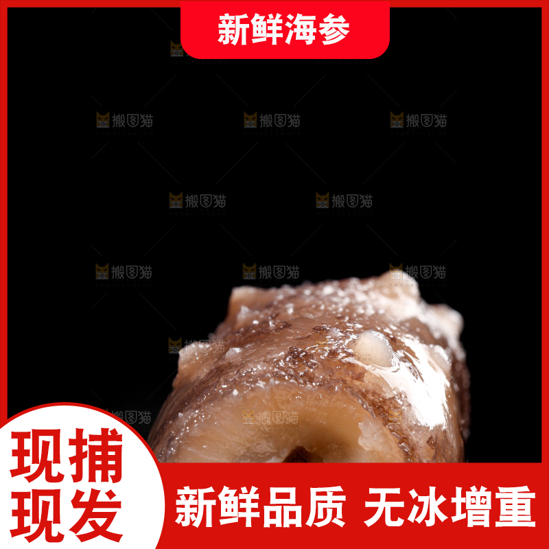 黑底上放着一盘海参