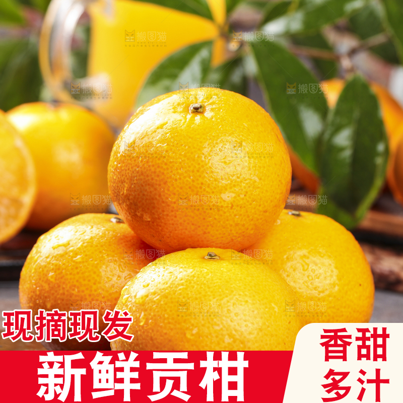 黑底上的皇帝柑