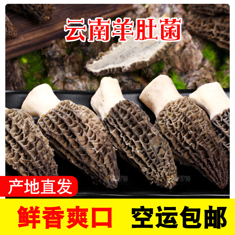 盘子里装着羊肚菌