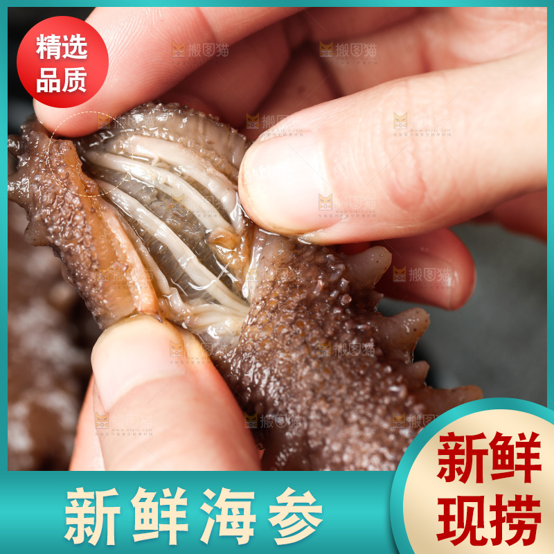 手拿海参