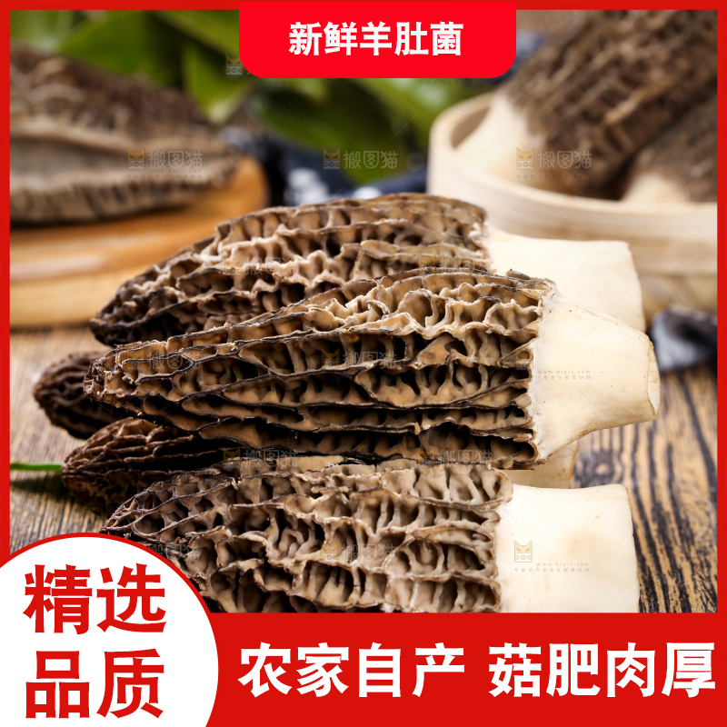 深底上摆放着羊肚菌