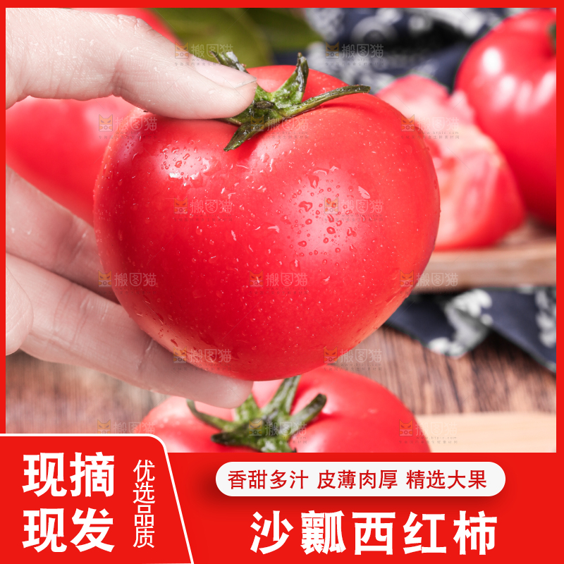 手里拿着沙瓤西红柿