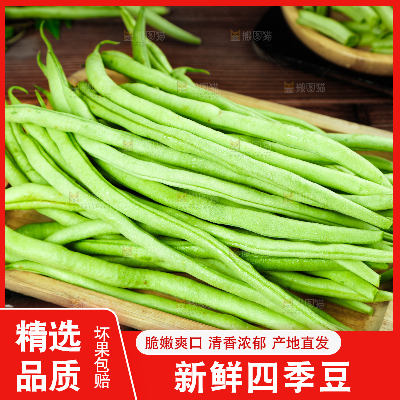 篮子里装着四季豆