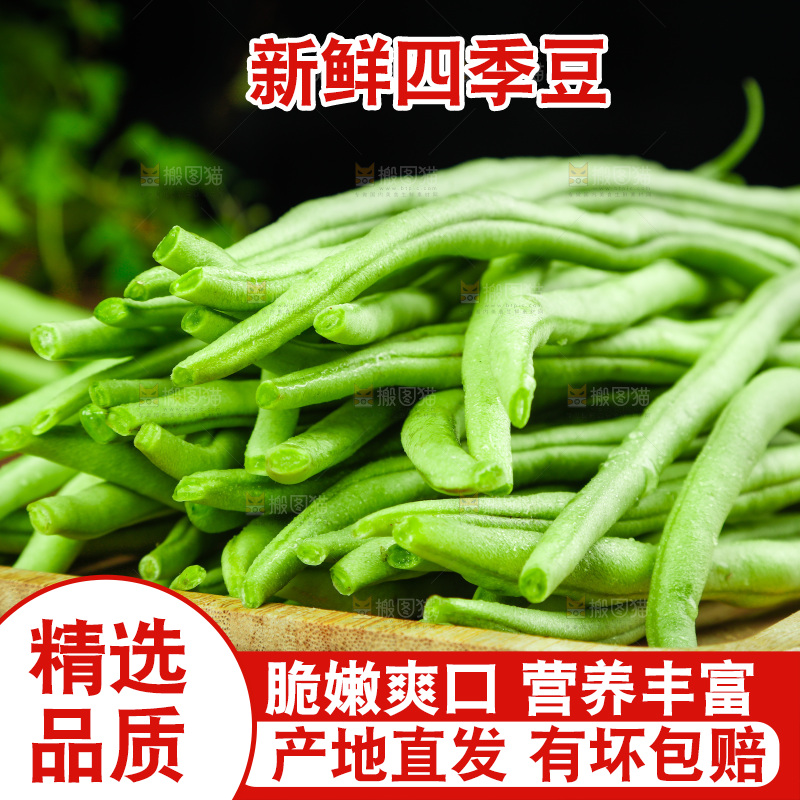 篮子里装着四季豆