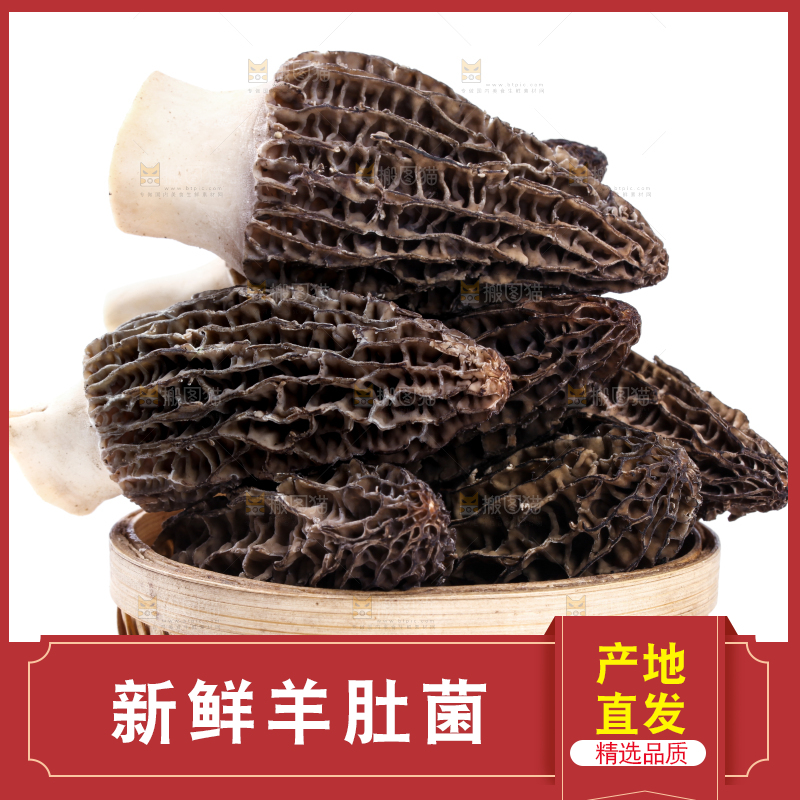 篮子里放着羊肚菇
