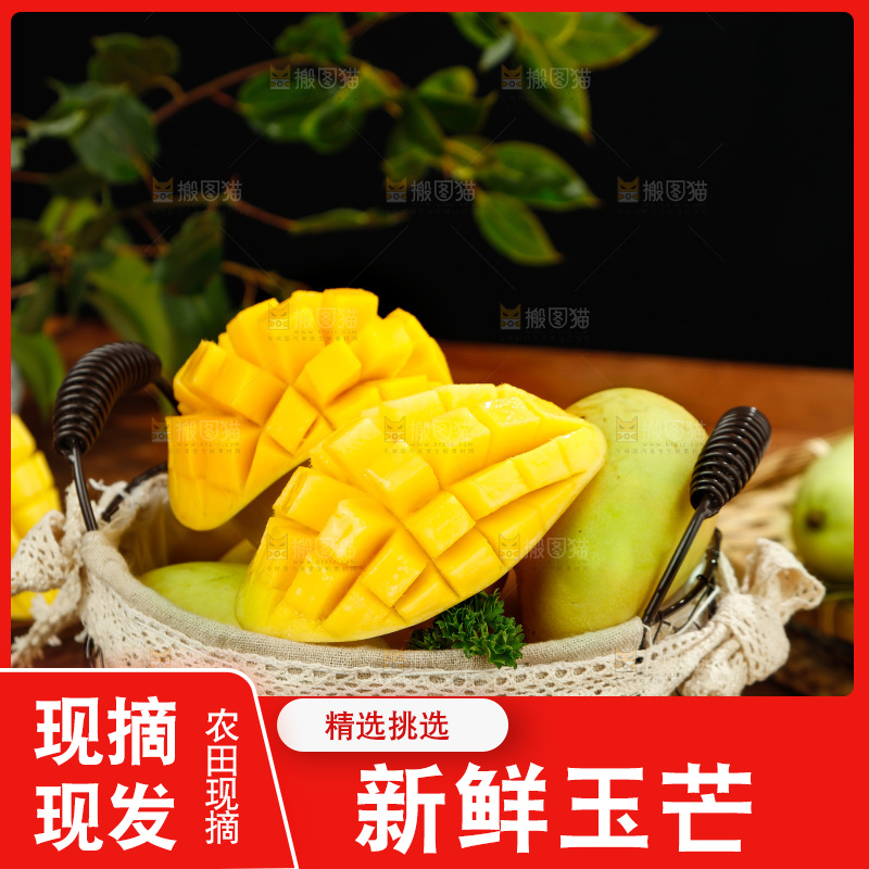 篮子里装着玉芒