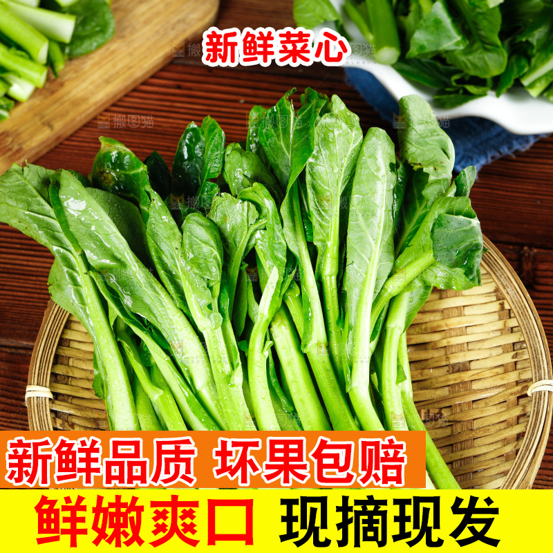 篮子里放着广东菜心
