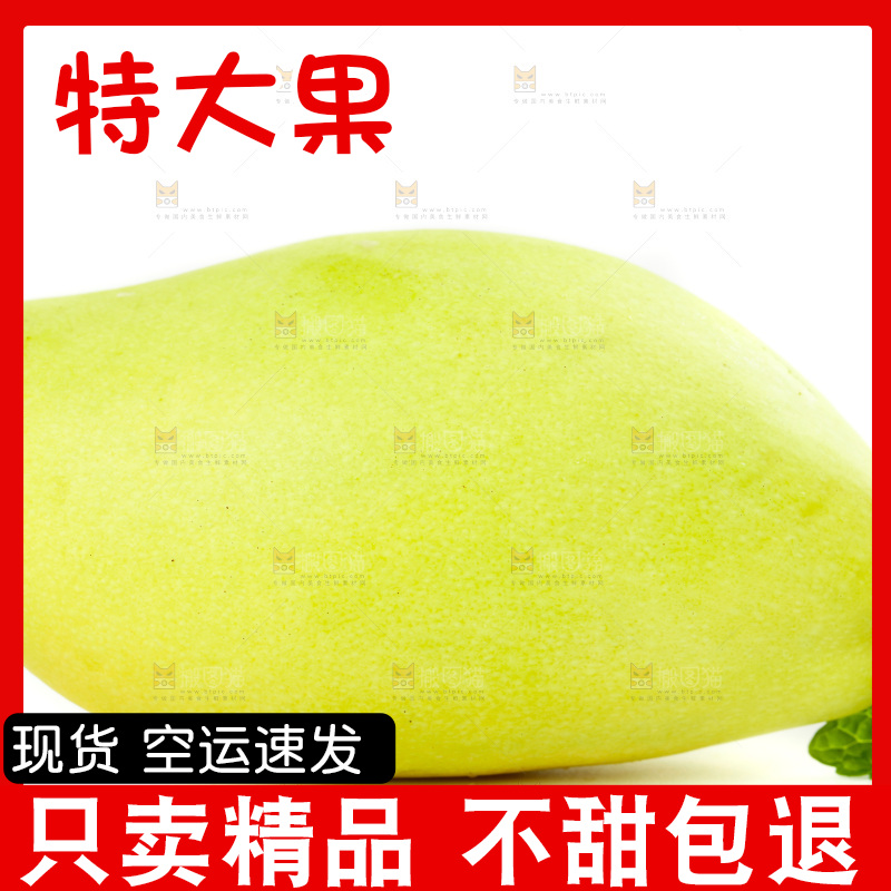 白底上放着芒果