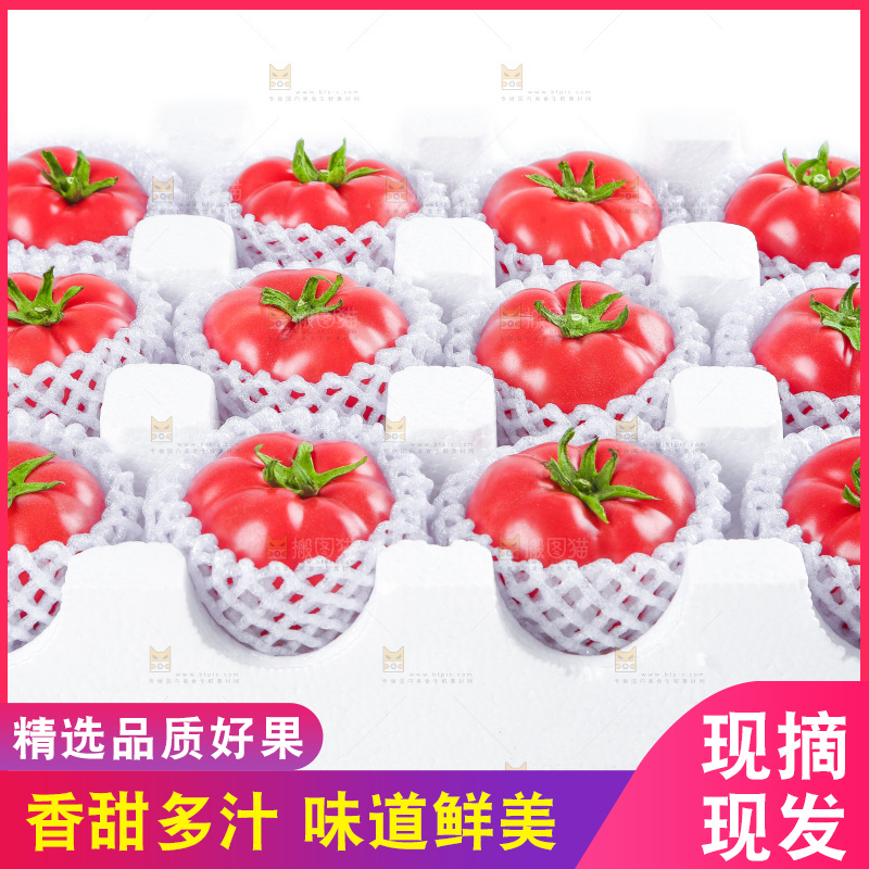 白底上摆放着沙瓤西红柿
