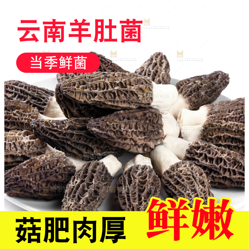 盘子里装着羊肚菇