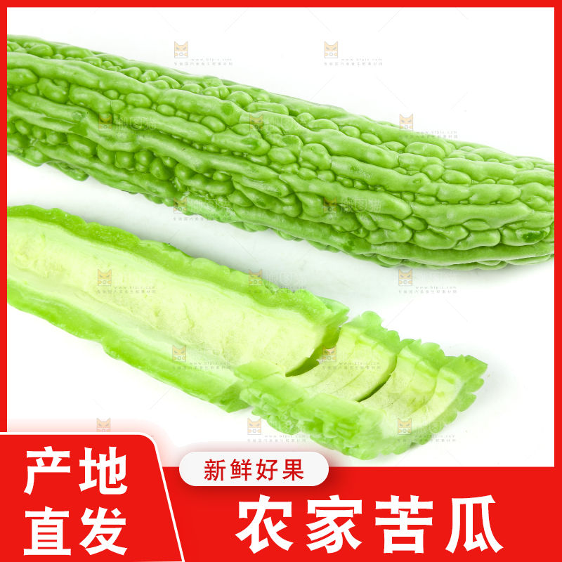 白底上摆放着凉瓜