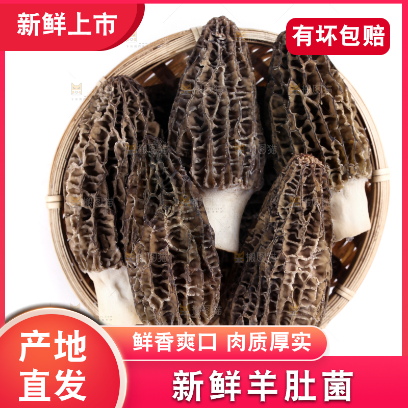 篮子里放着羊肚菇