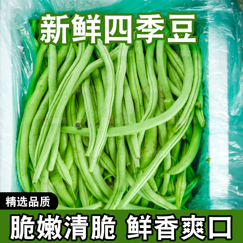 袋子里装着四季豆